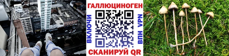 Купить где  Белово  Галлюциногенные грибы мухоморы 